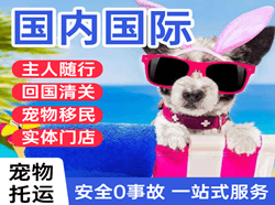 芜湖宣州机场空运国际宠物托运 【国